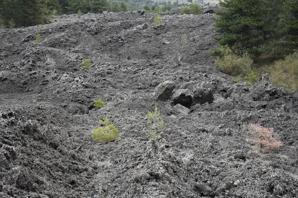 Etna volkanı. Yürüyüş alanı. Volkanik Etna Dağı manzarası kara lav ve nadir bitki örtüsü ile bulutlu bir bahar günü, Catania, Sicilya, İtalya. Son yanardağ patlamasından kalma siyah lav alanı.. 