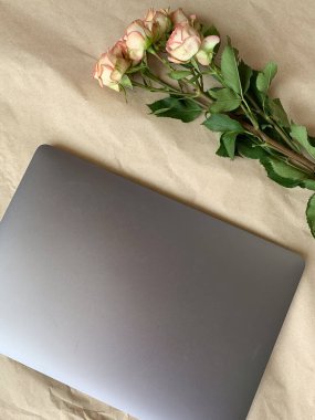 İş yeri. Çevrimiçi eğitim kavramı. E-öğrenme. Online eğitim. Laptop ve çiçekler, üst görünüm, kopyalama alanı. Modern çalışma ortamı. 