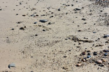 İnce kumsalda çıplak ayak izleri var. Dalgaların yumuşadığı sahilde. İnsan ayağının izleri. Seyahat ve tatil kavramı. Sicilya, İtalya 'da Cefalu yakınlarında bir plaj. İtalya 'ya git. Rahatla..