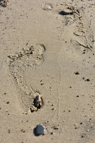 İnce kumsalda çıplak ayak izleri var. Dalgaların yumuşadığı sahilde. İnsan ayağının izleri. Seyahat ve tatil kavramı. Sicilya, İtalya 'da Cefalu yakınlarında bir plaj. İtalya 'ya git. Rahatla..