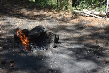 Gün boyunca ormanda bir kamp ateşi yakıldı. Ateş alevi. Pişirme ve ısıtma için toprak. Ormanda tehlike. Seyahat, turizm, piknik pişirme, kazıkta yemek pişirme, ateş ve duman. 