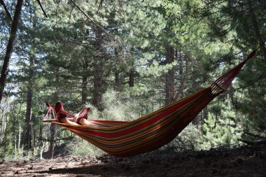 Samimi bir hamak, doğanın güzelliğiyle çevrili huzurlu bir ormanlık alanda asılı duruyor. Yaz ormanında renkli çizgili bir hamakta dinleniyor. Hamakta uyuyan adamın bacakları.. 