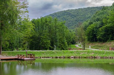 Ormanın içinde sessiz Gölü