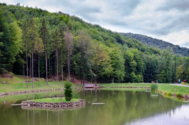 Ormanın içinde sessiz Gölü