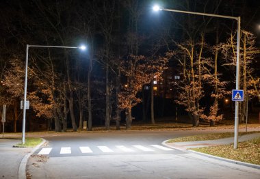 A pedestrian crossing lit by bright streetlights against a backdrop of trees and faint building lights on a calm night. Ideal for urban, nighttime, and atmospheric themes clipart