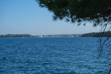 Çam ağacının dalları tarafından çerçevelenmiş ışıldayan mavi denizin karşısında görülen sakin bir kıyı kasabası manzarası. Kasaba silueti tarihi mimariye sahiptir.,