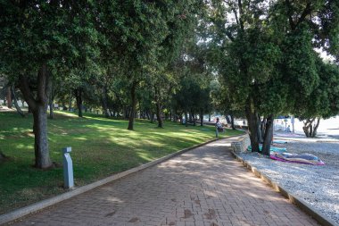 Çakıl taşı plajının yanında yemyeşil ağaçlarla kaplı manzaralı bir kaldırım. Güneş ışığı gölgelerin arasından süzülüp çimlerin üzerine düşüyor. İnsanlar kıyıda rahatlarken görülüyor.