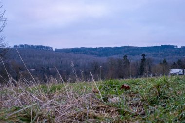 Yoğun ormanlarla kaplı yuvarlanan tepelerin ön planda çimlerin olduğu alçak bir açıdan görüldüğü manzaralı bir manzara. Karanlık çöktüğünde bulutlu bir gökyüzü altında, sakin bir kırsal atmosferi çağrıştırıyor..