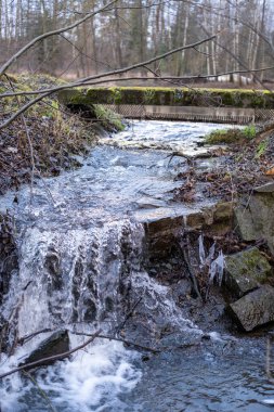 Küçük çağlayan bir şelale taşların ve dalların üzerindeki buz oluşumlarıyla kayalık bir dereden akıyor. Doğal gün ışığında yakalandılar..