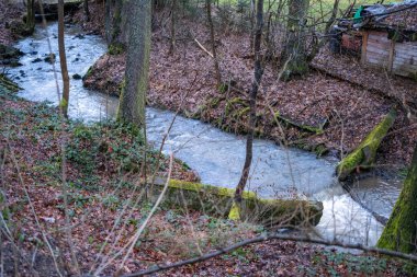 Yosun kaplı küçük bir beton baraj, suyu bir orman deresine yönlendirir. Hasarlı çatılı eski bir ahşap kulübe yakınlarda duruyor. Yükseltilmiş bir açıyla yakalanmış.