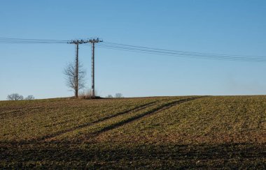 Kırsal alanda açık mavi gökyüzünün altında tarladan geçen iki elektrik direği.