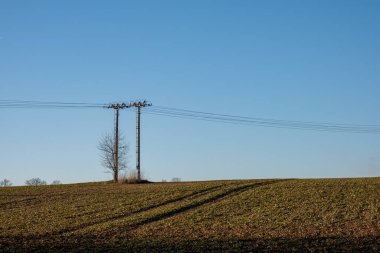 Kırsal alanda açık mavi gökyüzünün altında tarladan geçen iki elektrik direği.