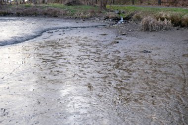 Ağaçlar ve bitki örtüsüyle çevrili kurumuş gölete küçük bir dere girer..