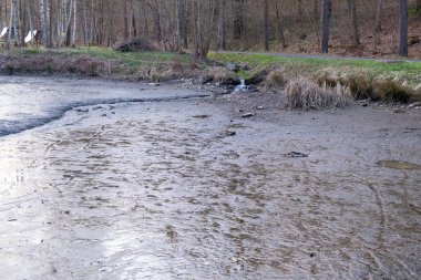 Ağaçlar ve bitki örtüsüyle çevrili kurumuş gölete küçük bir dere girer..