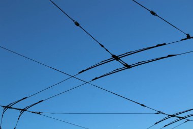 a vertical shot of a wire