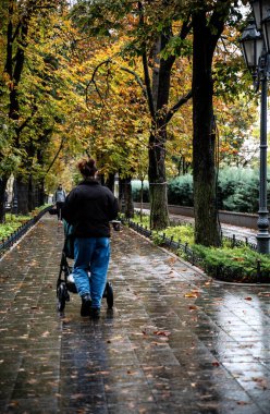 Bebek arabası olan bir kız parkta yürüyor. Arkadan bak. Kız ceket ve kot pantolon giyiyor. Yağmurdan sonra parka. Parkta kestane ve selvi yetişir.. 
