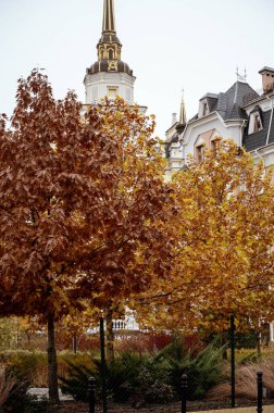 bright autumn in a residential area. bright yellow and red trees in the foreground. residential building in the distance. yellow trees are maple and birch.  clipart