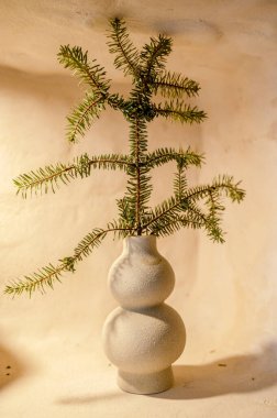 decorative clay vase with pine branch. beige, craft vase stands on the shelf as a decorative element. made of natural materials, photo has a vertical orientation clipart