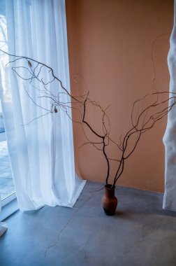 Gri beton zeminde dekoratif dalı olan bir kil vazo var. Doymuş bej bir duvarın arkasında. Pencereden gelen ışık. Pencere çok büyük, perdeyle kapatılmış.