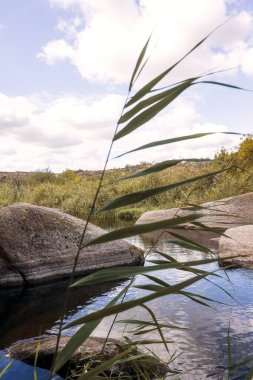 Beautiful blue lake with boulder figures. There is a lake in a mountain valley, trees grow around it. Fantastic granite gray boulders protrude from the wate, Aktovsky Canyon, Ukraine, Vertical photo clipart