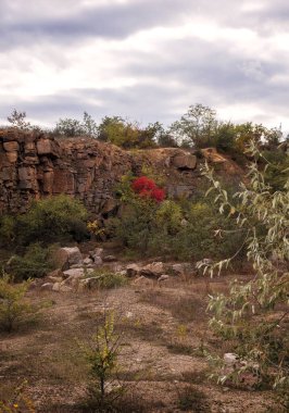 fantastic autumn in a mountain canyon, huge rocks. big gray granite boulders. yellow and red trees grow among the rocks. Aktovsky canyon, Ukraine with rocks. descent down the mountain for a climber clipart