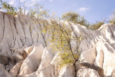 Tebeşir yataklarından beyaz kayalar. Beyaz dağların çeşitli katmanları. Parlak güneş, büyüyen ağaçlar. resim gibi kayalar ve su izleri. Aktovsky Kanyonu, Ukrayna, yatay fotoğraf