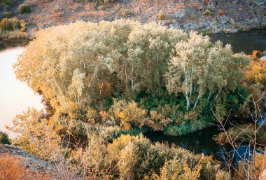 Nehir yatağının ortasında büyüyen ağaçlarla dolu bir ada. Güney Bug 'da pitoresk sonbahar.
