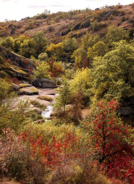 Dağ kanyonunda harika bir sonbahar. Kocaman granit kayalar. Ukrayna 'daki Aktovsky Kanyonu' nda kayalıklar, pitoresk ormanlar ve çayırlar var. Aşağıda büyük bir dağ deresi var. Parlak sarı ve kırmızı ağaçlar.