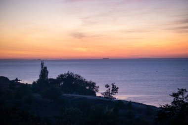 Parlak ufku olan güzel bir deniz manzarası. Deniz üzerindeki güneş gökyüzünü kırmızıya boyadı. Kayalar ve ağaçlar ön planda.