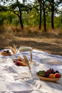 doğadaki piknik masası. Taze meyveli tabaklar masa örtüsünün üzerinde. Masa kurutulmuş bitki buketleriyle süslenmiş. Orman çevresi.