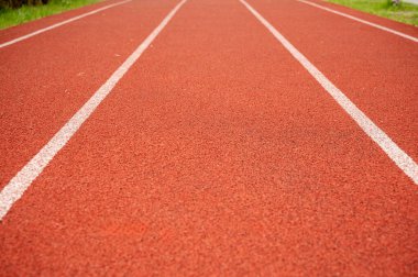 Parkta kırmızı yüzeyi olan koşu pisti. Kırmızı hat üzerinde beyaz çizgiler üzerinde parktan geçiyor.