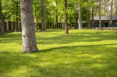 Avluda bir çimen, büyük ağaçlar ve çimenler var. Avlu yüksek kahverengi bir çitle çevrilidir. Güneşten uzak uzun gölgeler, şehir dışında dinlenme konsepti, turizm