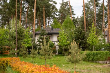 Binanın beyaz cephesi yoğun ağaçlarla çevrili. Evin etrafında çeşitli ağaçlar, çamlar, yaprak döken ağaçlar, çimenler, çalılar. Korunaklı bir bölgede, ormanda, parkta bir ev. Yüksek kaliteli fotoğraf.