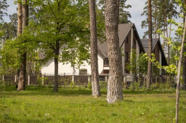 Köydeki beyaz evler batan güneşin parlak ışınlarıyla çevrili çam ormanlarıyla çevrili. Evin etrafında çeşitli ağaçlar var. Parkta çimenlik. Ormandaki ev. Yüksek kalite fotoğraf