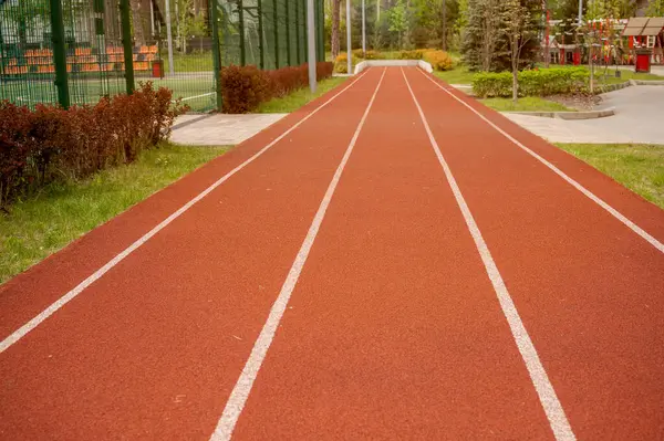 Parkta koşan kırmızı bir koşu yolu. Koşu yolunda beyaz çizgiler var. Pistin etrafında çimenler, çalılar ve her zaman yeşil ağaçlar var..