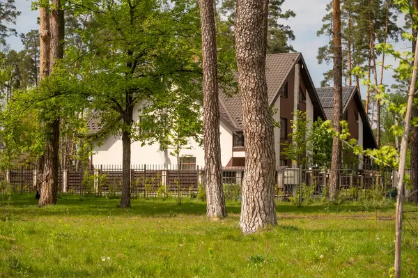 Köydeki beyaz evler batan güneşin parlak ışınlarıyla çevrili çam ormanlarıyla çevrili. Evin etrafında çeşitli ağaçlar var. Parkta çimenlik. Ormandaki ev. Yüksek kalite fotoğraf