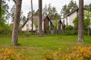 Köyde çam ormanlarıyla çevrili beyaz evler. Evin etrafında çeşitli ağaçlar var. Parkta çimenlik. Doğa koruma alanında bir ev, orman, parkta. Yüksek kalite fotoğraf