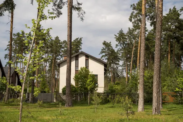 Yeni evin dış cephesi ve çatısı kahverengiydi. Köyde çam ormanlarıyla çevrili beyaz evler. Evin etrafında çeşitli ağaçlar var. Ormanda bir ev