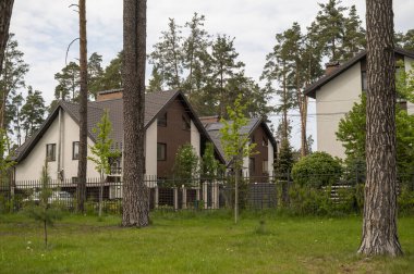 Çam ormanlarıyla çevrili beyaz binalar. Evin etrafında çeşitli ağaçlar var. Parkta çimenlik. Doğa koruma alanı, orman, park. Yüksek kalite fotoğraf