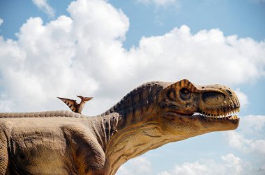 Yapay dinozor tyrannosaurus, dinozorun kafasını gökyüzüne yakın plan. İki dinozor. Pterodactyl ve tyrannosaurus. Bir büyük dinozor ve diğeri daha küçük..