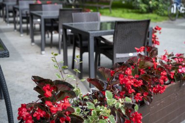 Kahverengi ahşap kaplarda kırmızı çiçekler olan bir kafenin masa ve sandalyeleri. Fotoğrafın ön planında açık hava kafesinin masalarının etrafında parlak kırmızı begonya. Sadece koyu renkli mobilyalar.