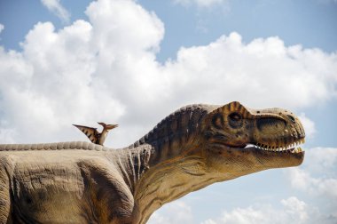 Yapay dinozor tyrannosaurus, dinozorun kafasını gökyüzüne yakın plan. İki dinozor. Pterodactyl ve tyrannosaurus. Bir büyük dinozor ve diğeri daha küçük..