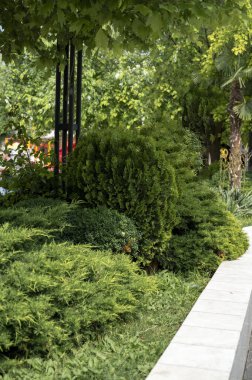 Granit taş çit parktaki yeşil bitkiler boyunca uzanıyor. Selvi, ardıç, yeşil ağaçlar, çalılar ve palmiyeler baharda ya da yaz parkında yetişir..