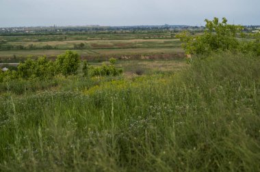 Berrak manzarada, berrak mavi gökyüzünün altındaki uzak dağlara doğru uzanan yemyeşil alanlar bulunur. İspanya kırsalında. Yüksek kalite fotoğraf