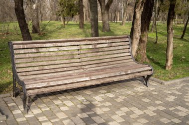 Şehir parkında çimlerle ve ağaçlarla çevrili ahşap bir park bankının yakın görüntüsü. Güneşin altında eski ahşap banklar. Yüksek kalite fotoğraf