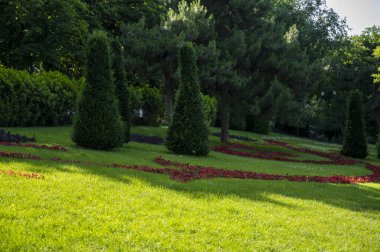 Baharda resmi bahçenin taze yeşil manzarası. Yüksek kalite fotoğraf