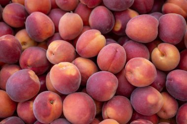 Kırmızı kenarlı kayısılar, taze ve olgun kayısılar, üst manzara. Parlak ve renkli ürünler. Sağlıklı gıda ve tazelik kavramı.