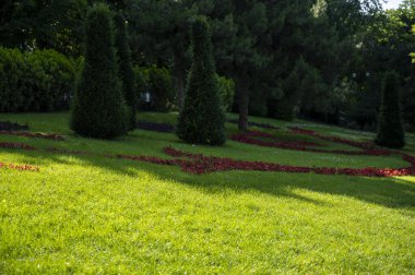 Renklerle dolup taşan canlı bir yaz bahçesi, çiçek kenarları, yemyeşil çalılar, ve parlak güneş ışığı altında düzgün biçilmiş bir çim. Klasik Birleşik Krallık bahçe tasarımının mükemmel bir örneği. Yüksek kalite fotoğraf