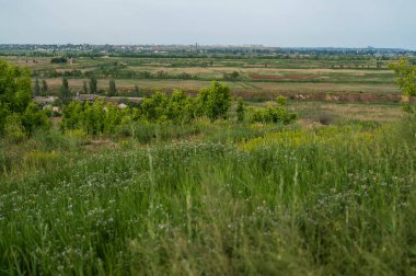 Yeşillik bir alanda bir işaret. Kırsal kesimde tarlalar ve ufukta bir şehir var. Yüksek kalite fotoğraf