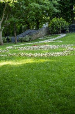 Güzel bir yaz parkı. Şehir parkında iyi korunan bir çim. Sarmal şeklinde beyaz çiçeklerle dolu bir çiçek tarhı. Yeşil budanmış ağaçlar ve çalılar. Parkta taş merdivenler çıkıyor..